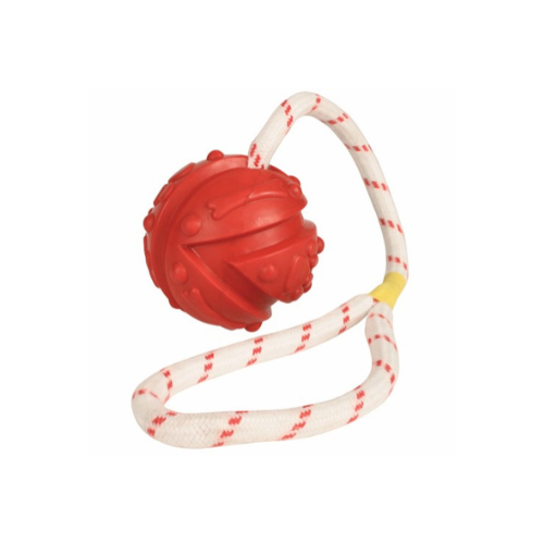 Chuckit Bold Snor Flydende - Chuckit Dogtoys  - 4011905334820