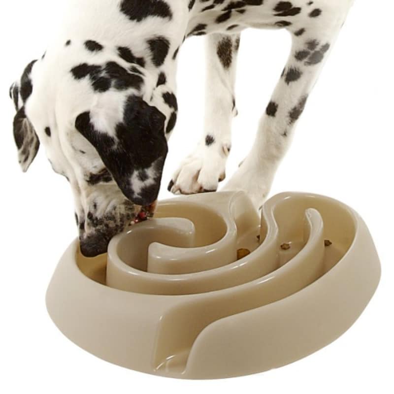 Pink Buster Dog Maze - Dogtoys