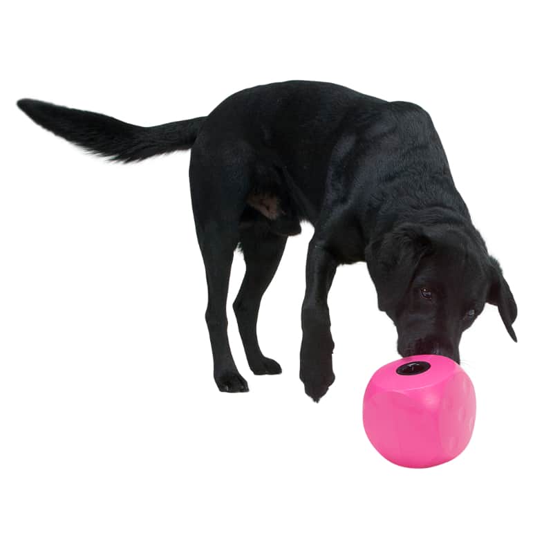 Buster Food Cube Lilla - Dogtoys