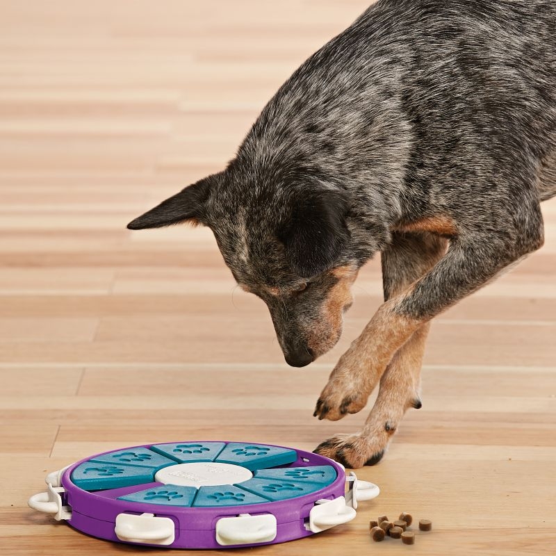 Nina Ottosson Aktivitetslegetøj Twister - Nina Ottoson Dogtoys  - 700603673358