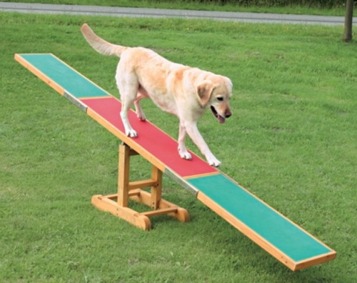 Agility Vippe L300 B34 H54 - Trixie Dogtoys  - 4011905032139