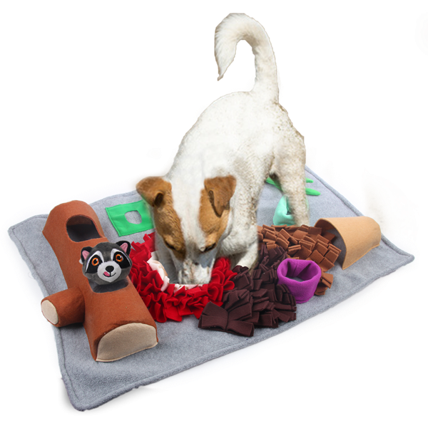 Afp Dig Legetæppe Firkantet - Afp Dogtoys  - 847922060817