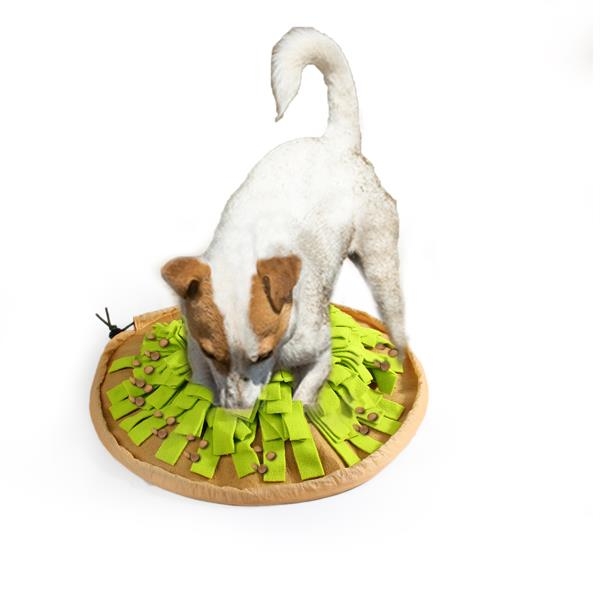 Afp Foldbar Godbidsmåtte - Diverse Dogtoys  - 847922060848