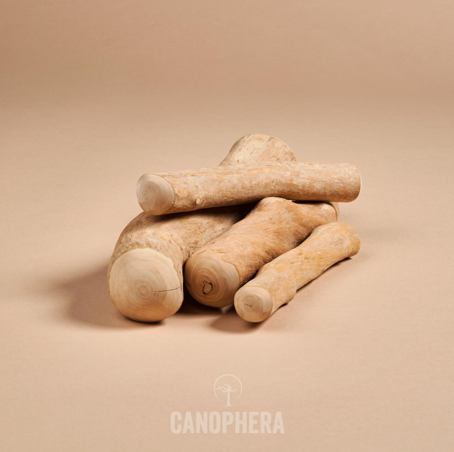 Canophera Kaffetræ Tyggepind - Diverse Dogtoys