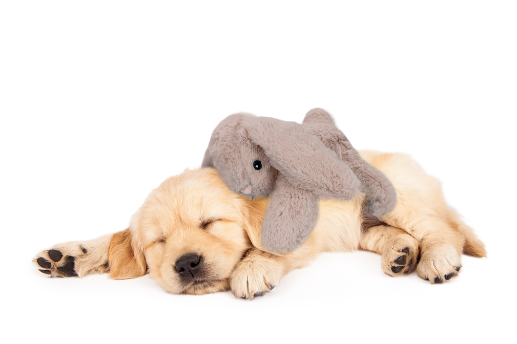 Cozy Dog Bunny Hjertelyd Varme Pose - Diverse Dogtoys  - 8716759601062