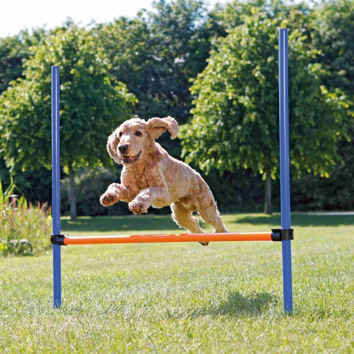Agility Hurdle Spring - Diverse Dogtoys  - 4011905032078